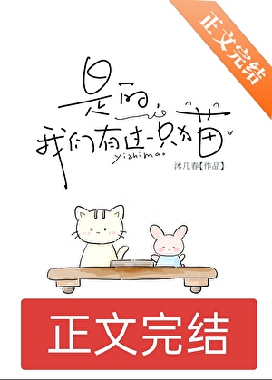 我们有过一只猫