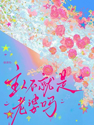 主人不就是老婆吗