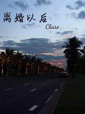 離婚以後小說封面圖