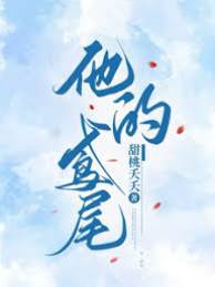 他的鳶尾小說封面圖