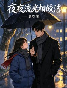 夜夜流光相皎潔小說封面圖
