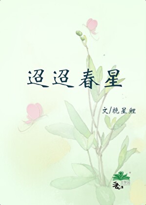 迢迢春星小說封面圖