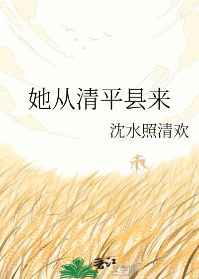 她從清平縣來小說封面圖
