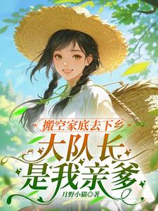 搬空家底去下鄉，大隊長是我親爹小說封面圖