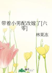 帶着小男配改嫁了[六零]小說封面圖