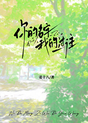 你的名字我的過往小說封面圖