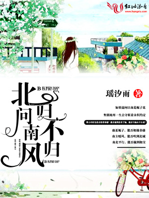 北問南風歸不歸小說封面圖