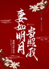 妻如明月當照我小說封面圖