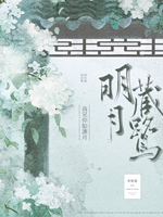 明月藏鷺小說封面圖