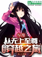 綜漫：從無上至尊開始的穿越之旅小說封面圖