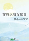 穿成返城女知青小說封面圖