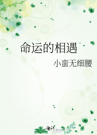 命運的相遇小說封面圖