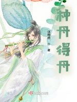 種丹得丹小說封面圖