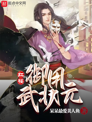 紅樓：御用武狀元小說封面圖