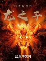 行走綜漫的龍之子小說封面圖