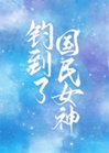 釣到了國民女神小說封面圖