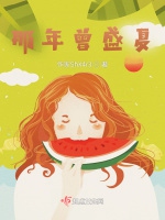 那年曾盛夏小說封面圖