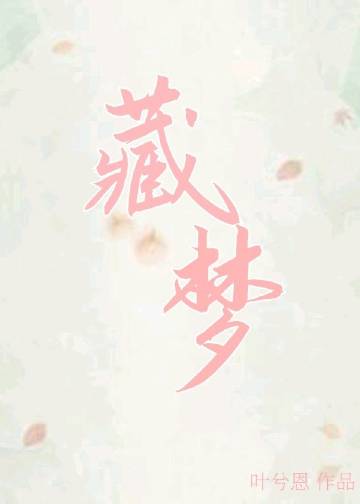 藏夢小說封面圖