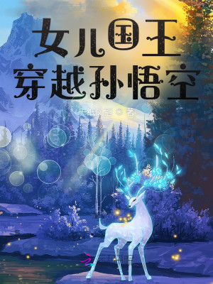 女兒國王穿越孫悟空小說封面圖