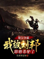 楚漢爭霸，我被劉邦卸磨殺驢了！小說封面圖