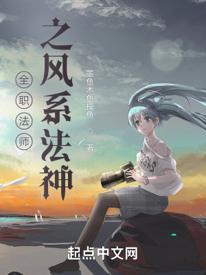 全職法師之風系法神小說封面圖