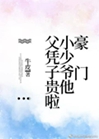 豪門小少爺他父憑子貴啦小說封面圖
