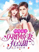 財閥梟寵：閃婚嬌妻有點甜小說封面圖