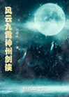 風雲九霄神州劍俠小說封面圖