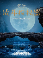 我的戰鬥模擬器小說封面圖