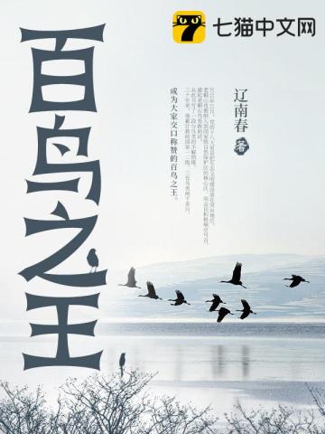 百鳥之王小說封面圖