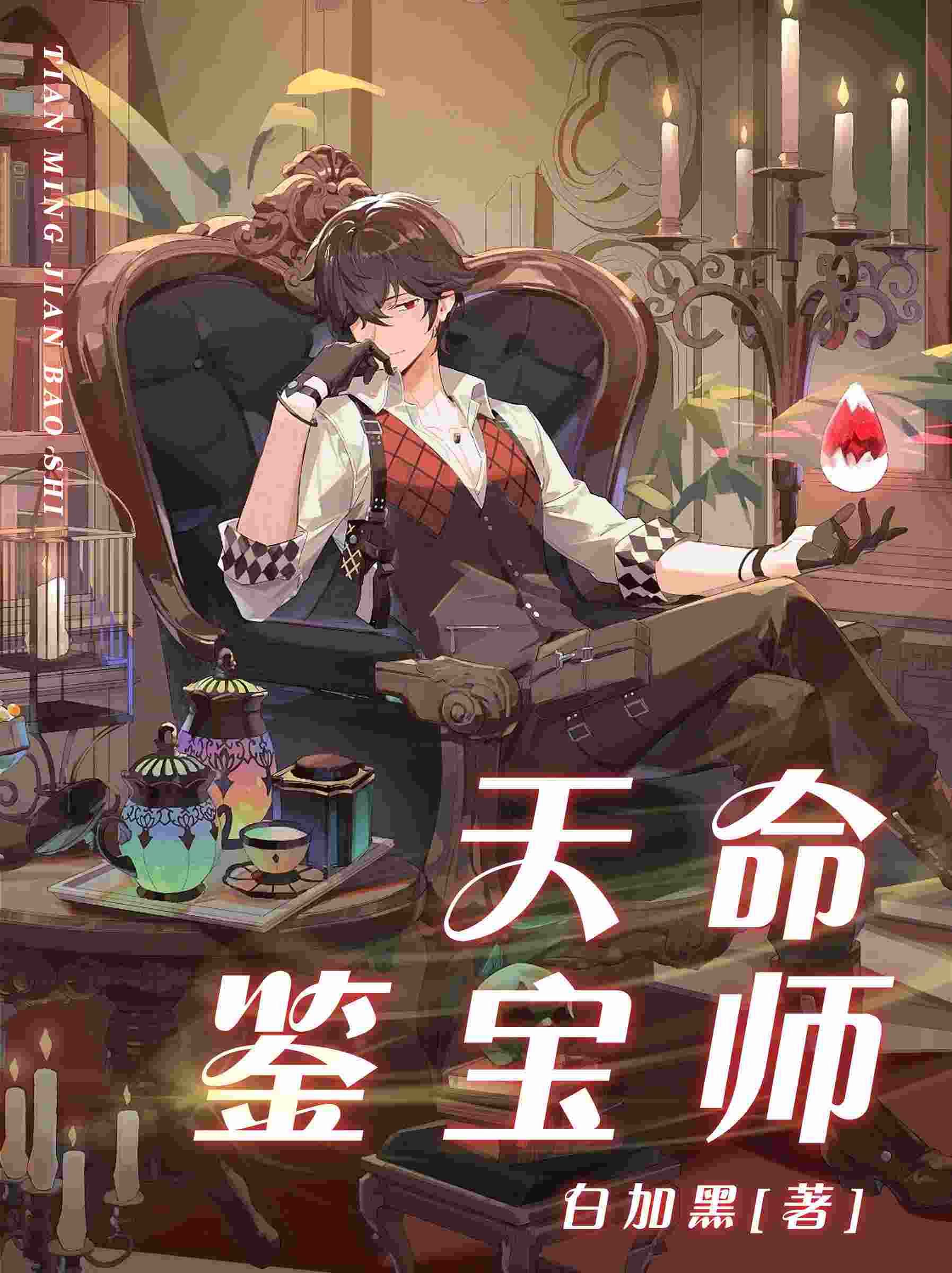 天命鑑寶師小說封面圖