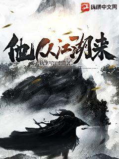 他從江湖來小說封面圖