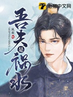 吾夫是禍水小說封面圖