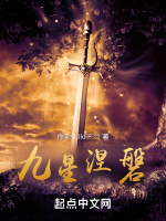 九星涅磐小說封面圖
