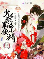少將軍的小撩精危險又迷人小說封面圖