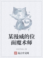 某漫威的位面魔術師小說封面圖