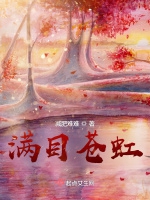 滿目蒼虹小說封面圖