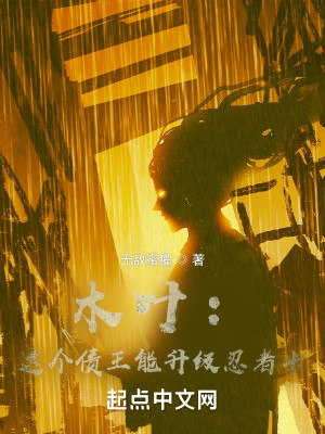木葉：這個債王能升級忍者卡小說封面圖
