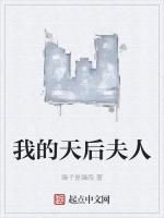 我的天后夫人小說封面圖