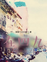 在四九城的日子小說封面圖