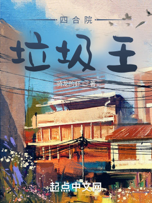 四合院：垃圾王小說封面圖