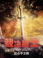 裁決騎士小說封面圖