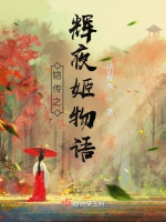 鎧傳之輝夜姬物語小說封面圖