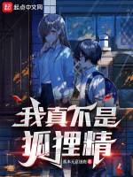 我真不是狐狸精小說封面圖