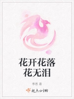 花開花落花無淚小說封面圖