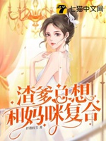 渣爹總想和媽咪複合小說封面圖