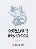 全職法師裏的愛情公寓小說封面圖