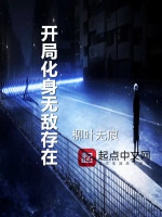 開局化身無敵存在小說封面圖