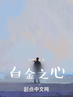 白金之心小說封面圖