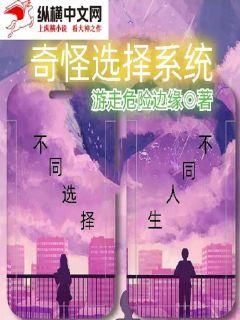 奇怪選擇系統小說封面圖